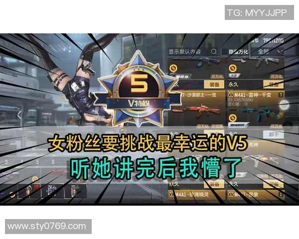 和平精英V5版本全新节奏揭秘与玩法解析带你领略游戏新体验